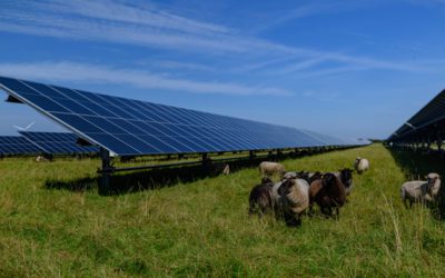 L’agrivoltaïsme : l’alliance de l’agriculture et de l’énergie