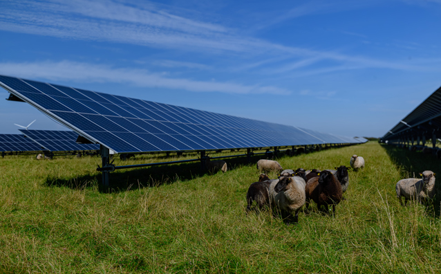 L’agrivoltaïsme : l’alliance de l’agriculture et de l’énergie