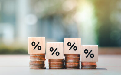 Taxe sur actifs non professionnels des sociétés holding patrimoniales : êtes-vous concerné ?